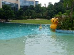 android_upload_pic-成都保利公园皇冠假日酒店(熊猫基地店)
