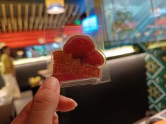 -芸山季·云南山珍菌火锅(人民广场来福士店)