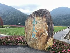 -广州市石门国家森林公园