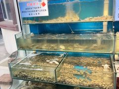 -仙螺岛海鲜自助餐厅(总店)