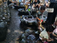 -成都市活水公园