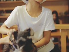 -萌喵宠狗爱心宠咖