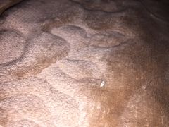 -苏沐堂全息足浴·SPA·按摩(万科美好广场店)