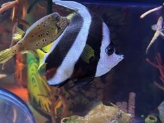 -沈阳海洋探索中心