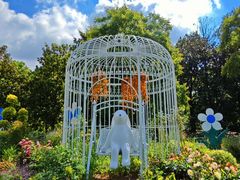 -上海共青森林公园