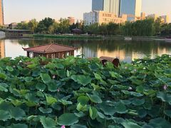 -西海子公园