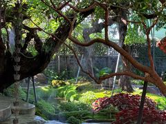 -Chom Cafe and Restaurant