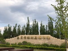 -永定河休闲森林公园