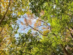 -浙江大学(玉泉校区)