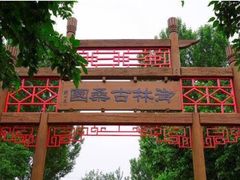 -御林古桑园