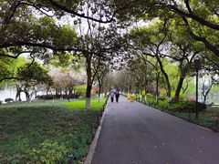 -苏堤停车场