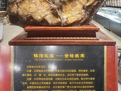 -游龙石文化科普馆