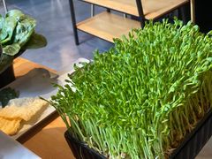 -煲宫猪肚鸡(晶品店)