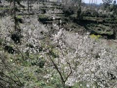 -樱桃山旅游景区