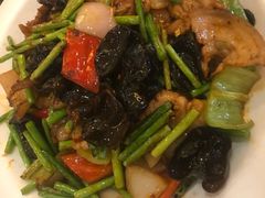 -丰乐园大酒店