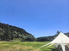 -武陵山森林公园