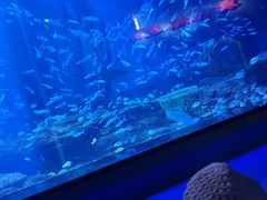 -多彩贵州城极地海洋世界