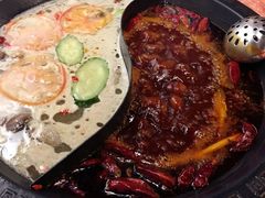 -杨家火锅(国美店)