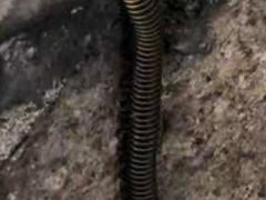 -碓臼峪自然风景区