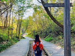 -五营红松林海景区