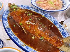 红烧鸡格朗-洞天食府(北大街店)