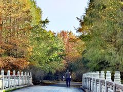 -上海海湾国家森林公园