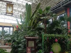 -郑州银基黄帝宫御温泉