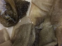 精品毛肚-大龙火锅(老店)