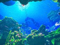 -海合安青岛极地海洋公园