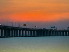 -宝安西湾红树林湿地公园