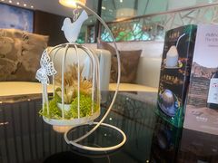 -白天鹅宾馆·月兔吧