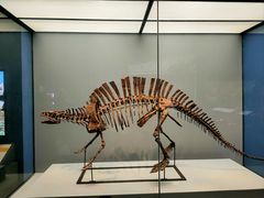 -湖南省地质博物馆