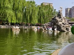 -团结湖公园