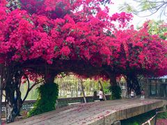 -东莞市可园博物馆