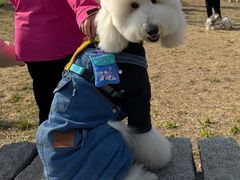 -小意思咖啡店(草桥店)