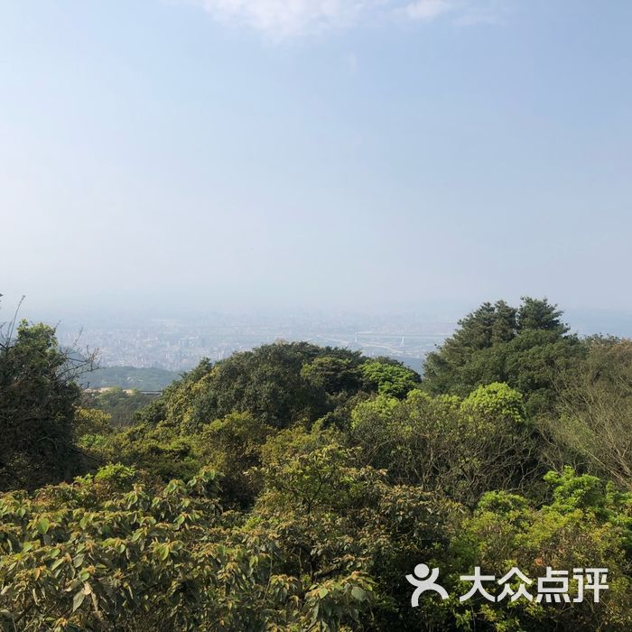 陽明山公園