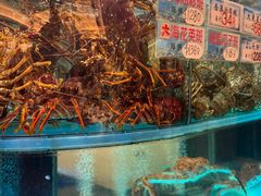 -海港酒家(上水新丰店)