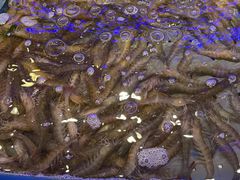 -澜悦港海鲜体验主题餐厅