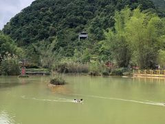 -靖西鹅泉风景区