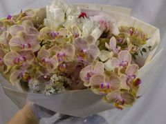 -花到家(富贵鸟花艺行)