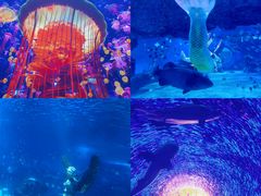 -海合安天津极地海洋公园