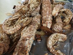 -大学城夜市大排档(凤栖路店)