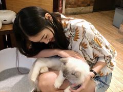 -more than meow吴止猫主题餐厅(承德 中船汇店)