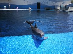 -北戴河圣蓝海洋公园