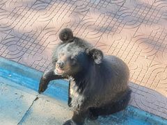 -西霞口神雕山野生动物世界