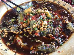 黄辣丁-青城甲(青城山店)