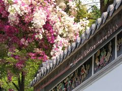 -深圳国际园林花卉博览园