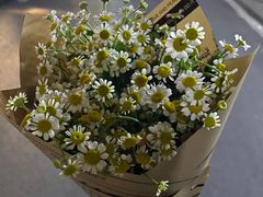 -循礼门鲜花花市(武汉循礼门店)