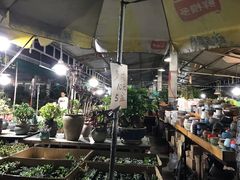 -曲阳花鸟市场(曲阳路店)