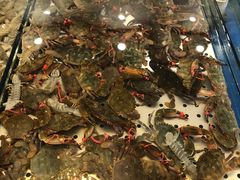 -孙家码头海鲜自助美食城
